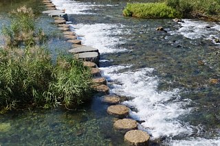 photo-20141018-2