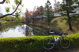 photo-20141102-1