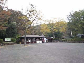 photo-20141108-1
