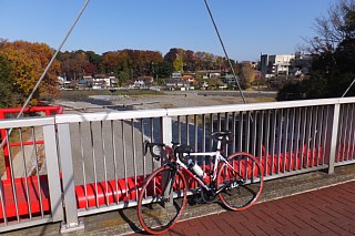 photo-20141123-1