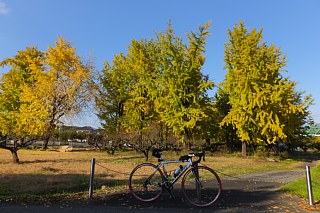 photo-20141123-6
