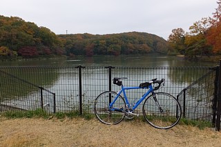 photo-20141124-1
