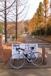 photo-20141207-2