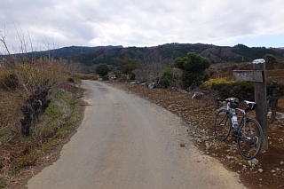 photo-20141221-1