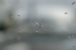 photo-20141223-3
