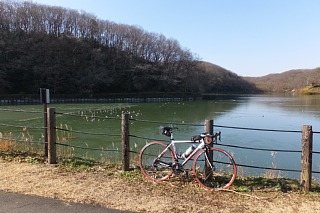 photo-20150104-1