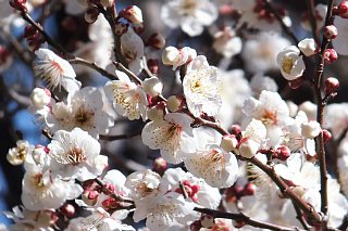 photo-20150214-2