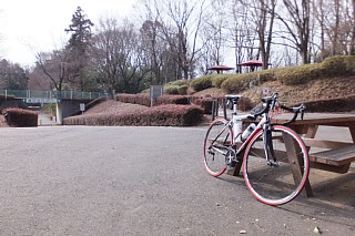 photo-20150215-1