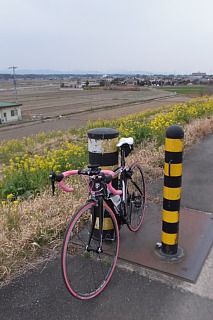 photo-20150314-1