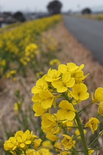 photo-20150314-2