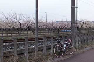 photo-20150314-3