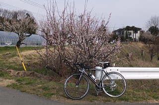 photo-20150315-2