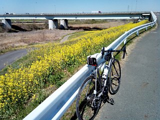 photo-20150327-1
