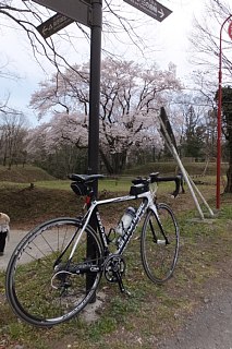 photo-20150328-1