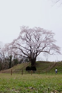 photo-20150328-2