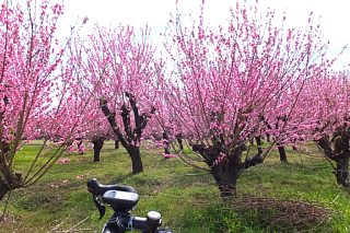 photo-20150328-7