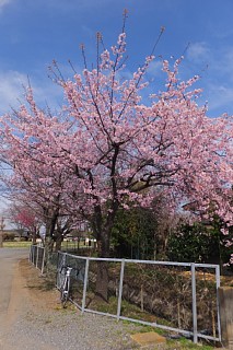 photo-20150328-8