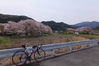 photo-20150412-1