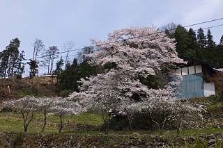 photo-20150412-2