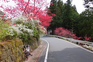 photo-20150412-5