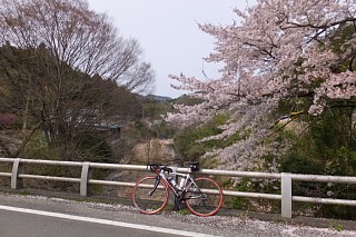 photo-20150412-6