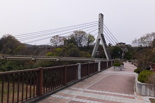 photo-20150412-7