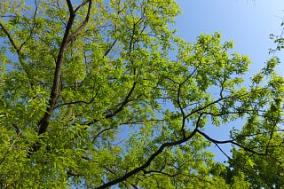 photo-20150426-2