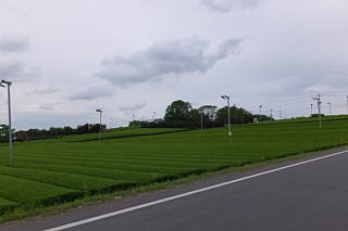 photo-20150505-5