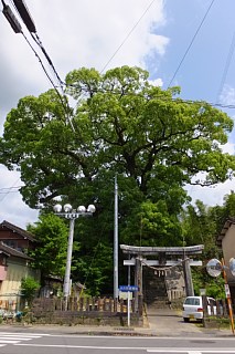 photo-20150506-6
