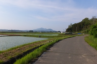 photo-20150517-8