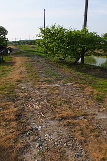 photo-20150517-9