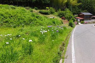 photo-20150607-1