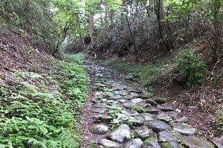 photo-20150615-8