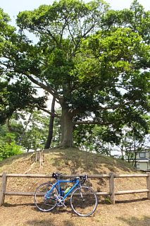 photo-20150616-2