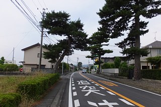 photo-20150618-4