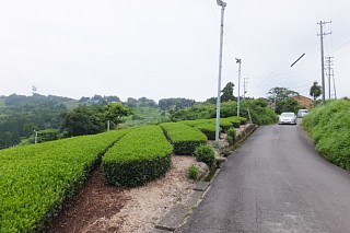 photo-20150618-7