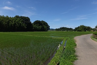 photo-20150628-2