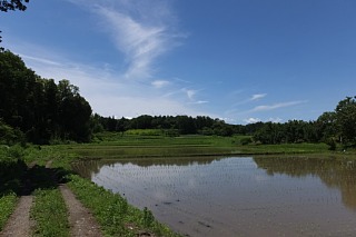 photo-20150628-3