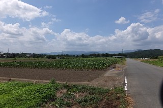 photo-20150809-6