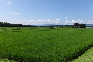photo-20150815-1