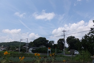 photo-20150816-2