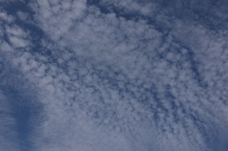 photo-20150921-1