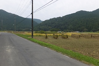 photo-20151010-2
