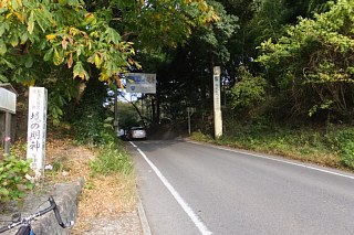 photo-20151025-4