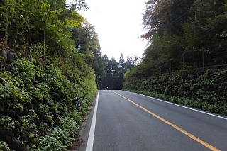 photo-20151101-10