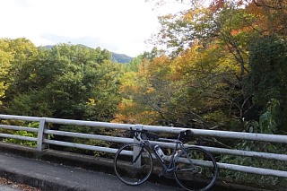 photo-20151101-3