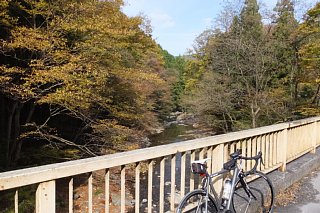 photo-20151101-9