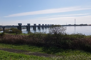 photo-20151129-1