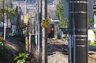 photo-20151129-4