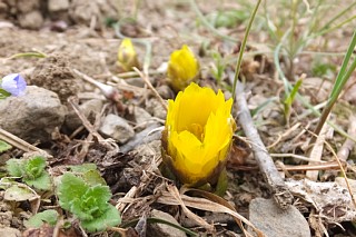 photo-20160117-6